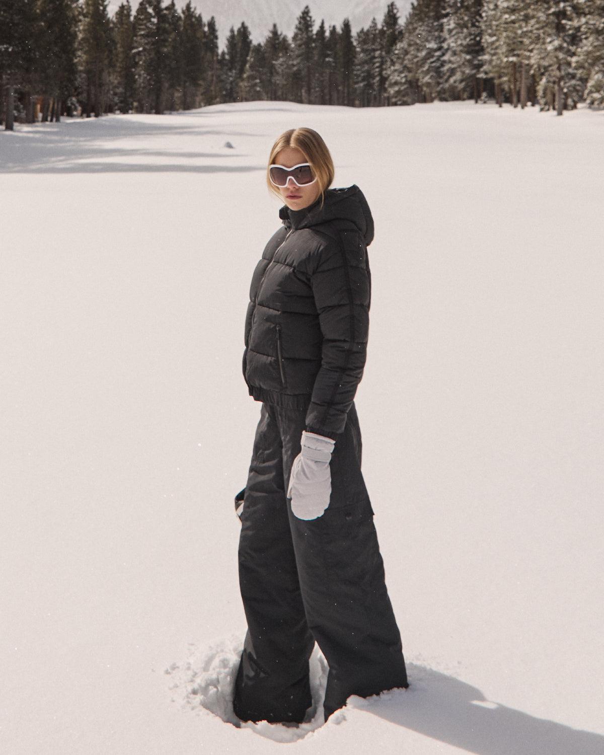 New Arrivals | Alp N Rock