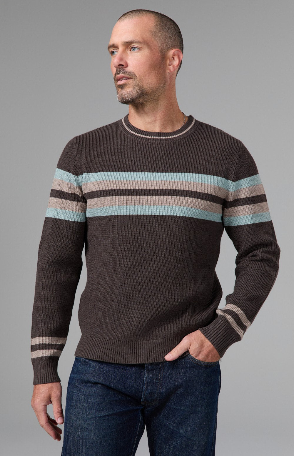 Alp N Rock Cameron Stripe Crew Sweater, dark brown crew neck stripe sweater