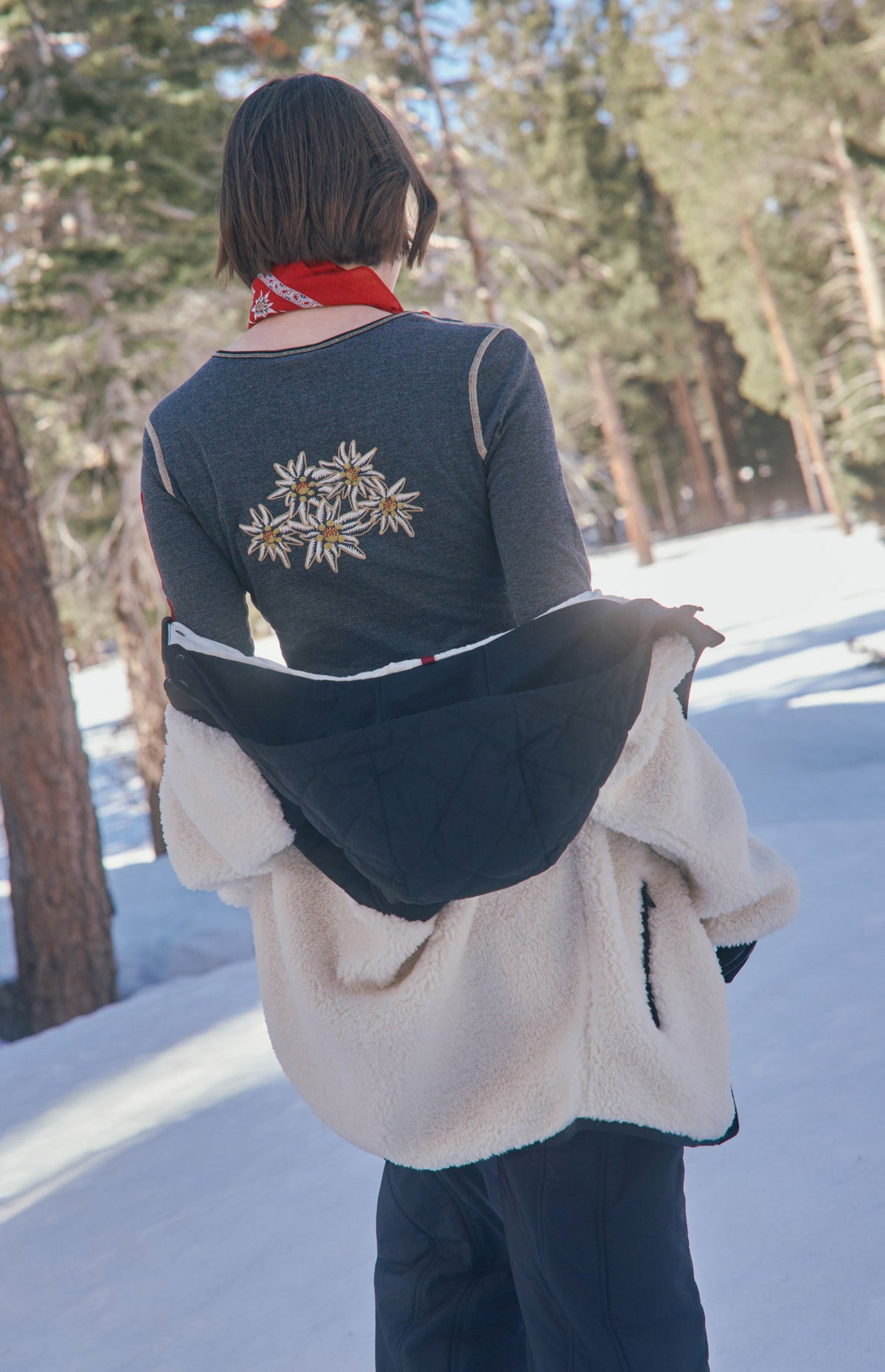 Alp N Rock Edelweiss Henley Shirt, women's heather black henley shirt with embroidered flowers and ski patches